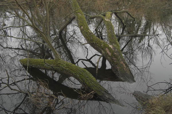 Picture &copy; Peter Marshall, 2004