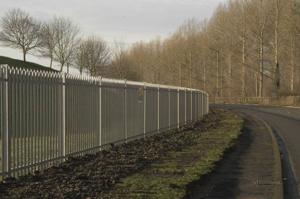 Picture &copy; Peter Marshall, 2004