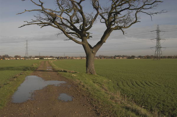 Picture &copy; Peter Marshall, 2004