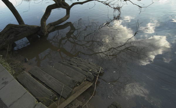 Picture &copy; Peter Marshall, 2004