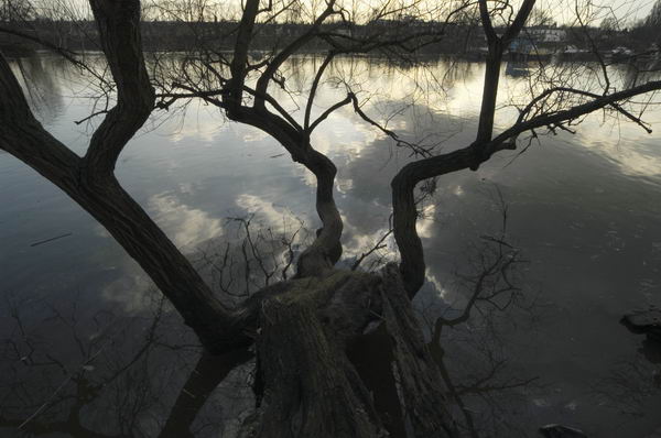 Picture &copy; Peter Marshall, 2004