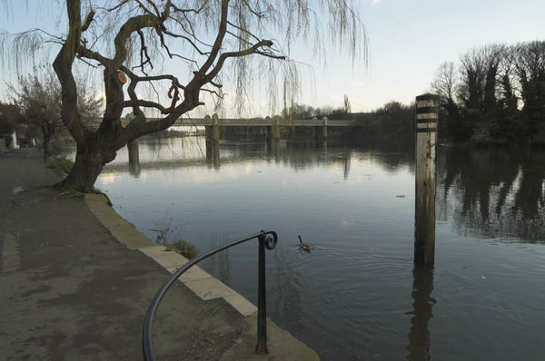 Picture &copy; Peter Marshall, 2004