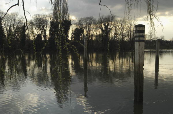 Picture &copy; Peter Marshall, 2004