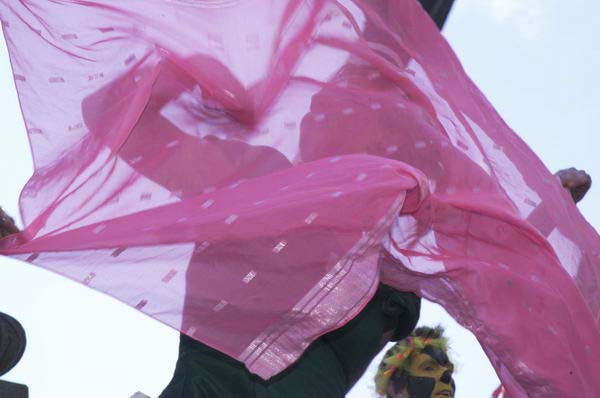 Picture &copy; Peter Marshall, 2004