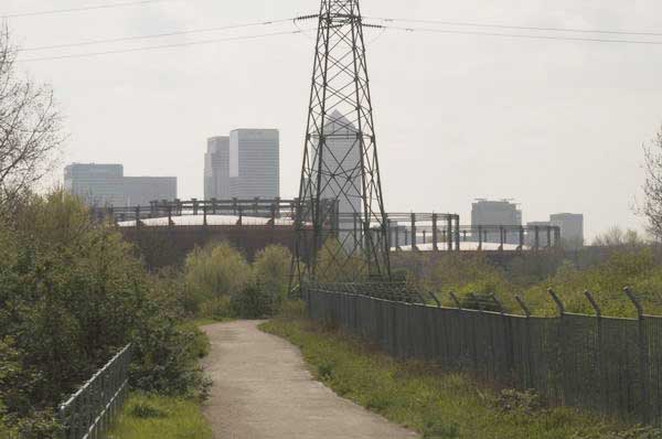 Picture &copy; Peter Marshall, 2004