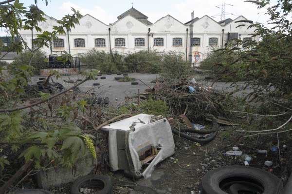 Picture &copy; Peter Marshall, 2004