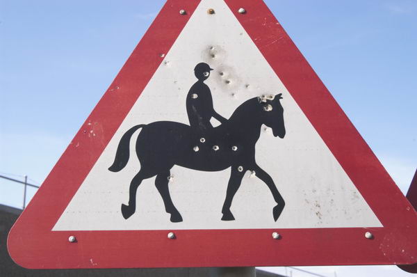 Picture &copy; Peter Marshall, 2004