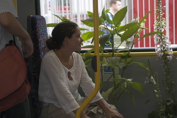 Picture &copy; Peter Marshall, 2004