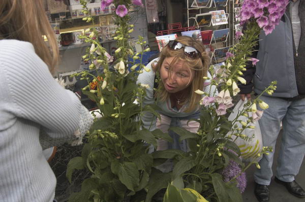 Picture &copy; Peter Marshall, 2004