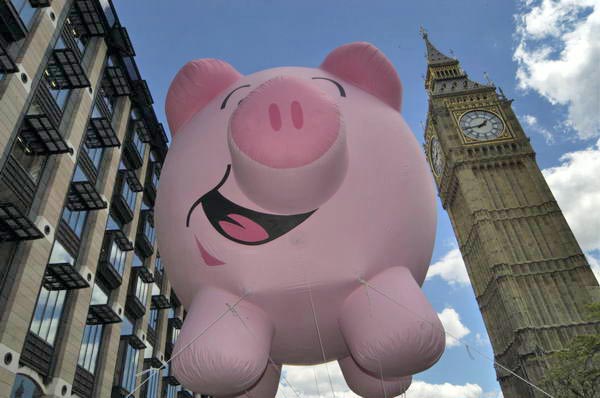 Picture &copy; Peter Marshall, 2004