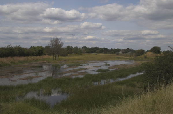 Picture &copy; Peter Marshall, 2004