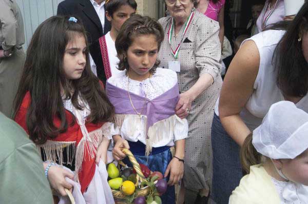 Picture &copy; Peter Marshall, 2004