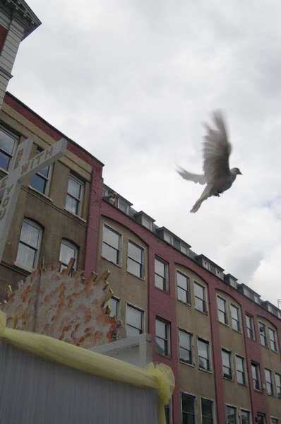 Picture &copy; Peter Marshall, 2004