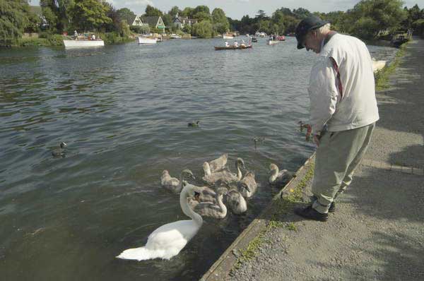 Picture &copy; Peter Marshall, 2004