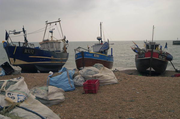 Picture &copy; Peter Marshall, 2004