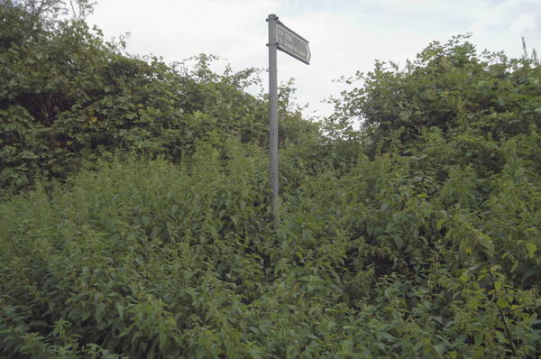 Picture &copy; Peter Marshall, 2004