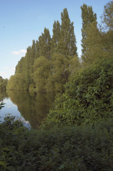 Picture &copy; Peter Marshall, 2004