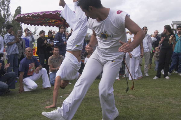 Picture &copy; Peter Marshall, 2004