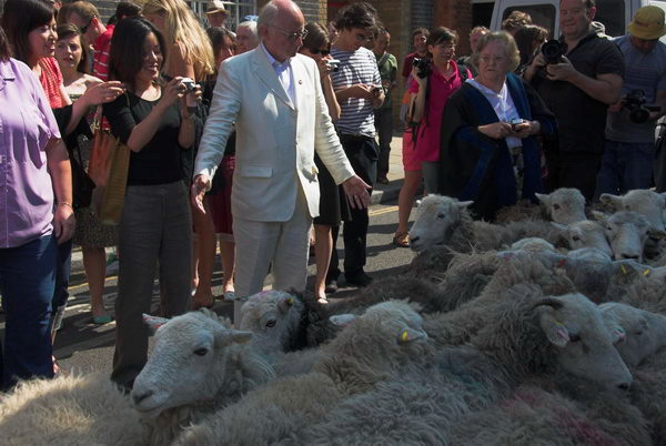 LAB Sheep Drive, &copy; 2006, Peter Marshall