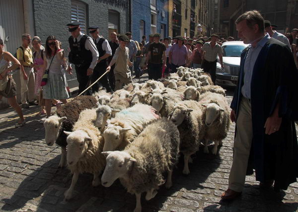 LAB Sheep Drive, &copy; 2006, Peter Marshall