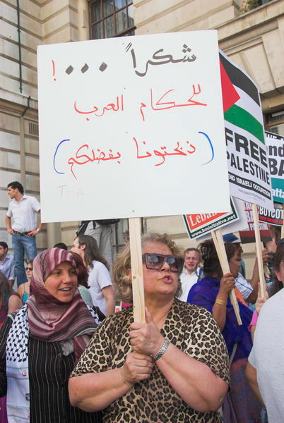 stop israeli attacks on lebanon and palestine &copy; 2006, peter marshall