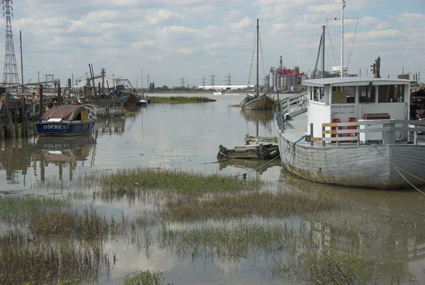 Greenhithe + Swanscombe Marshes © 2006, Peter Marshall