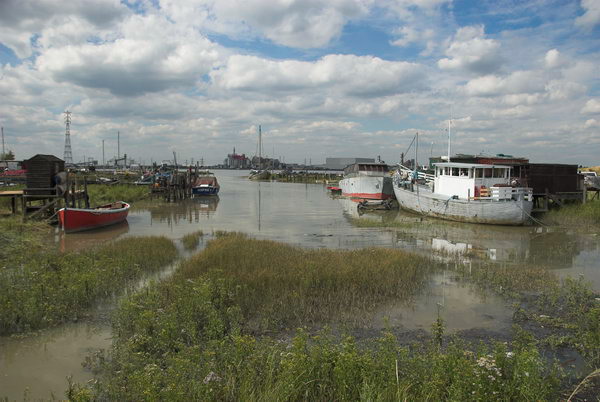 Greenhithe + Swanscombe Marshes © 2006, Peter Marshall