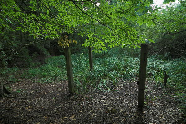 London Loop: Moor Park to Borehamwood &copy; 2006, Peter Marshall