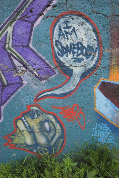 Tottenham to Walthamstow &copy; Peter Marshall, 2006