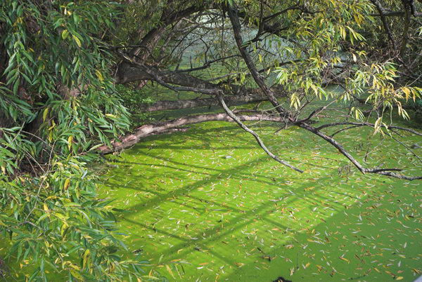 Tottenham to Walthamstow &copy; Peter Marshall, 2006