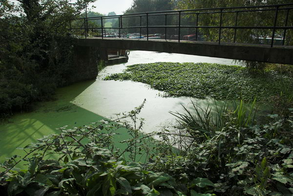 Tottenham to Walthamstow &copy; Peter Marshall, 2006