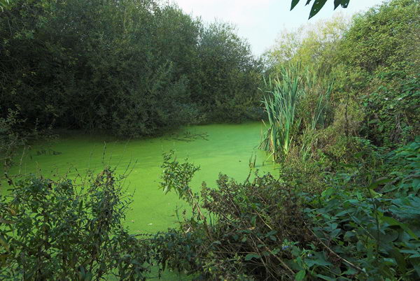 Tottenham to Walthamstow &copy; Peter Marshall, 2006