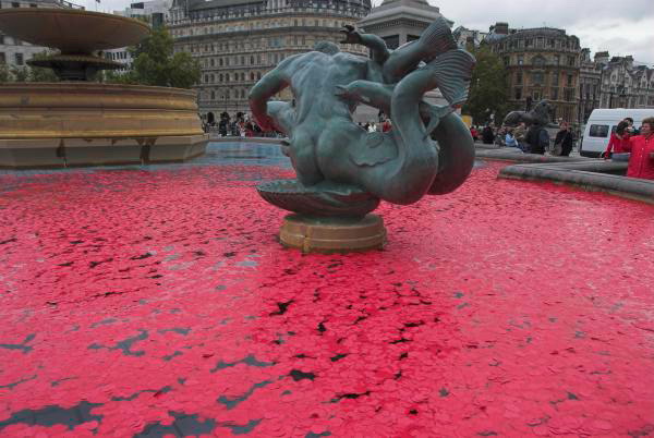 Poppies in the Fountains &copy; Peter Marshall, 2006