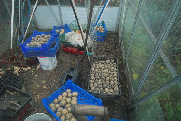 Manor Garden Allotments, Hackney Wick &copy; Peter Marshall, 2007
