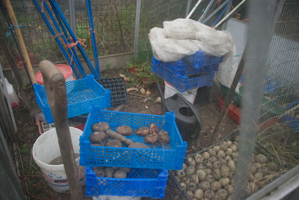 Manor Gardens Allotments &copy; 2007, Peter Marshall