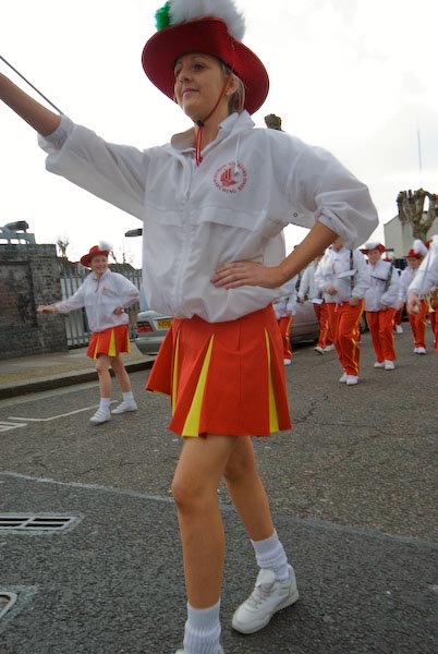 St Patrick's Day, Brent &copy; 2007, Peter Marshall