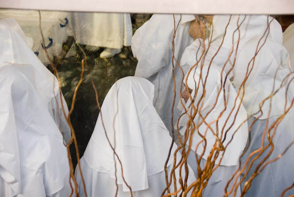 Spring Equinox &copy; 2007, Peter Marshall