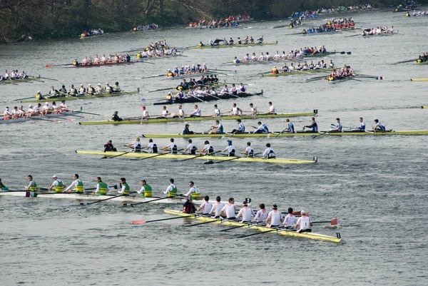 Head of the River Race &copy; 2007, Peter Marshall