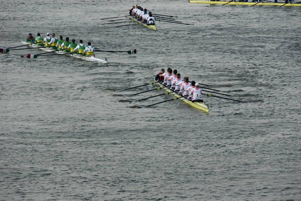 Head of the River Race &copy; 2007, Peter Marshall