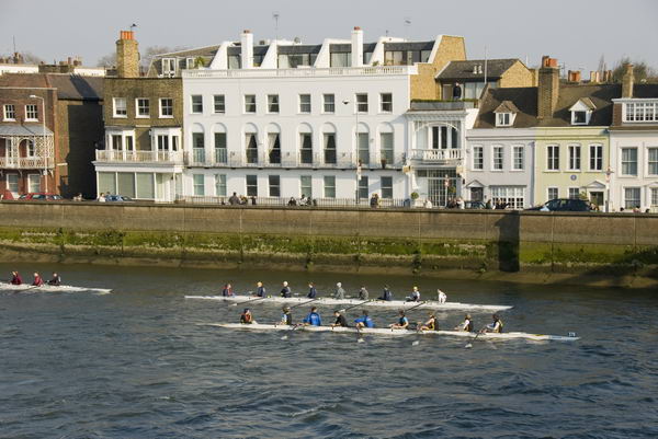 Head of the River Race &copy; 2007, Peter Marshall