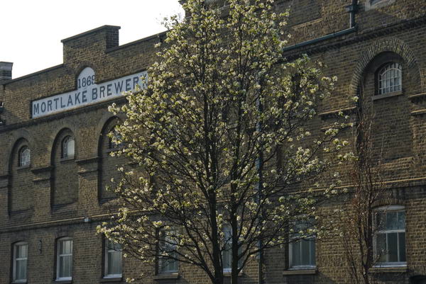 Mortlake &copy; 2007, Peter Marshall