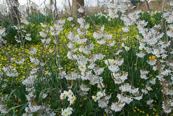 Amberley, Sussex &copy; 2007, Peter Marshall