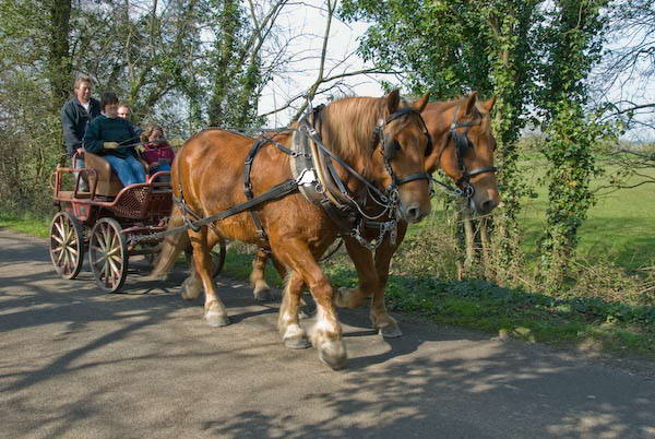 Amberley, Sussex &copy; 2007, Peter Marshall