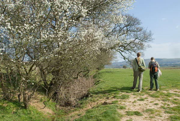 Amberley, Sussex &copy; 2007, Peter Marshall