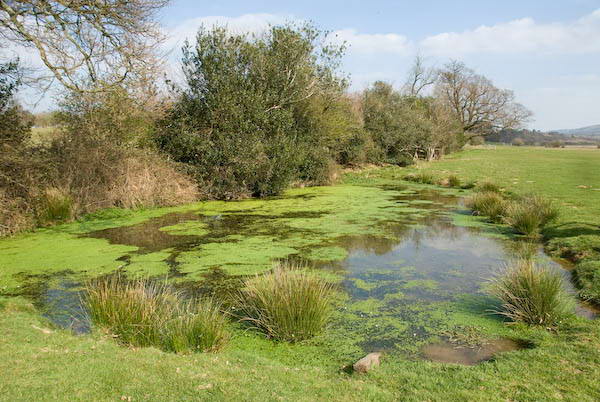 Amberley, Sussex &copy; 2007, Peter Marshall