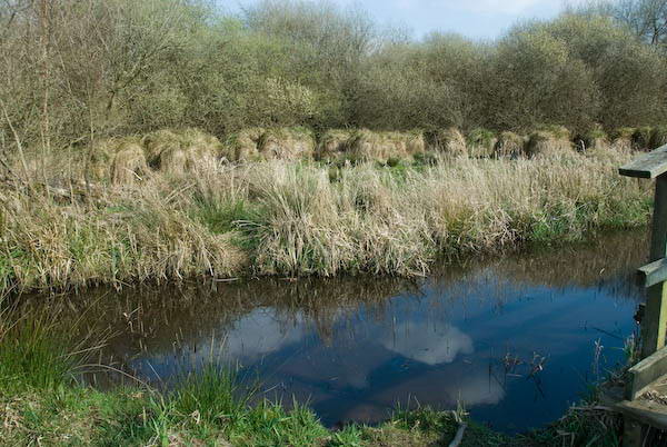 Amberley, Sussex &copy; 2007, Peter Marshall