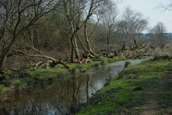 Amberley, Sussex &copy; 2007, Peter Marshall