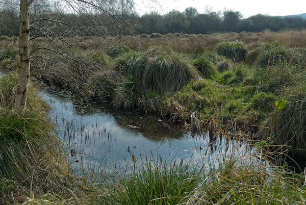 Amberley, Sussex &copy; 2007, Peter Marshall