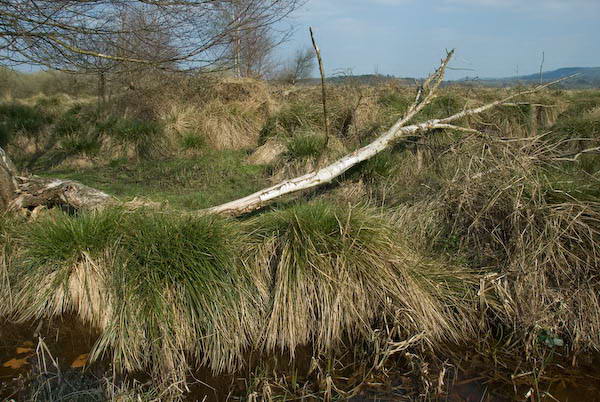 Amberley, Sussex &copy; 2007, Peter Marshall