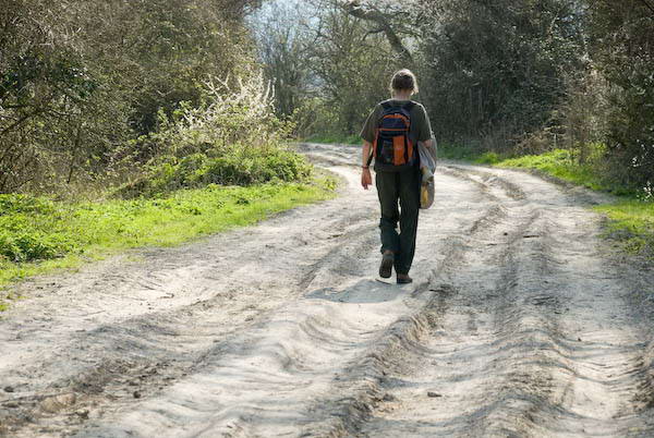 Amberley, Sussex &copy; 2007, Peter Marshall